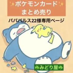 パパパルス22様 リクエスト 7点 まとめ商品