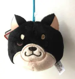 もちしば フェイスマスコット ぬいぐるみ 黒柴　柴犬　マスコット