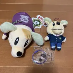 白濱亜嵐　3個セット