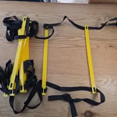 トレーニングラダー イエロー 収納袋付き