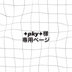 ✦︎pky✦様専用ページ