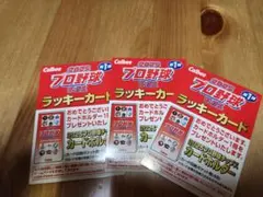 カルビー スポーツカード