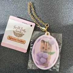 未使用タグ付　シルバニアファミリー スライドミラー りすの赤ちゃん キーホルダー
