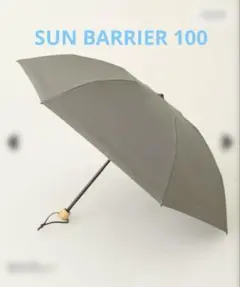 Item thumbnail for item a0667f7f-5e21-477e-8a26-294c6600efd6