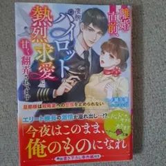 ゆうさん様 リクエスト 3点 まとめ商品