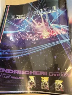 ENDRECHERI 告知ポスター 非売品 堂本剛