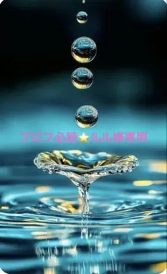 プロフ必読⭐️ルル様専用
