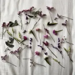 繊細小花茎つきドライフラワー花材30本セット　ウェディング席札装飾などに