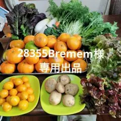 新鮮な野菜と果物のセット 28355Bremem様専用出品