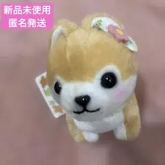 豆しば三兄弟 ハッピークローバ 小梅 VMC