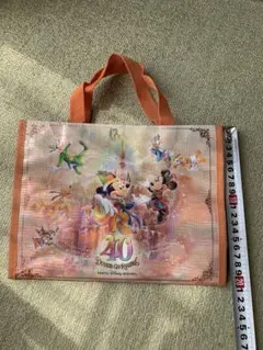 東京ディズニーリゾート 40周年 手提げ袋