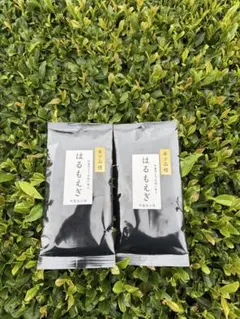 新茶　煎茶　はるもえぎ　100g 2袋セットのサムネイル