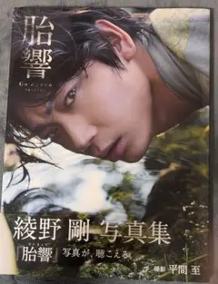 綾野剛 写真集 『胎響』重版記念　特典ポストカード 綾野剛 写真集 『胎響』重版記念 特典ポストカード - メルカリ