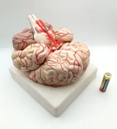 Item thumbnail for item 52935b4f-d0a8-4f24-9776-413d5b331fcf