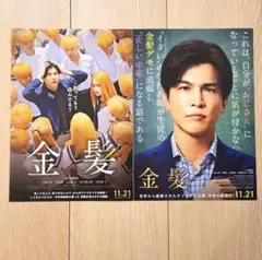 岩田剛典 金髪 映画 フライヤー ちらし 各5枚
