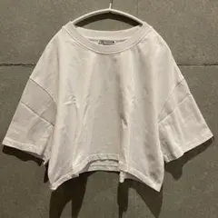 【ZARA】Tシャツのサムネイル