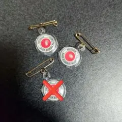 聖遺物　チャーム