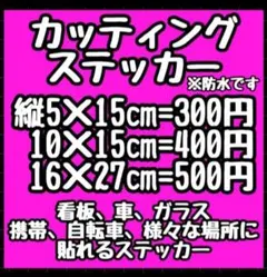 オーダーステッカー　カッティング　名前　子供　車　バイク　シール　自転車　看板