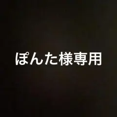 ぽんた様専用　他の方の購入ご遠慮下さい