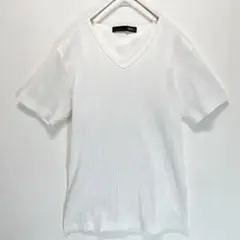 メンズVネックTシャツ (M) ボーダー生地 半袖 光沢