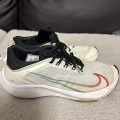 Nike Air Zoom Speed CJ2088-100 23.5㎝