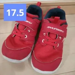 Item thumbnail for item 51da557f-a842-42fd-866b-437daace3d38