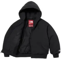 supreme the north face ダウンパーカーLサイズ　24FW