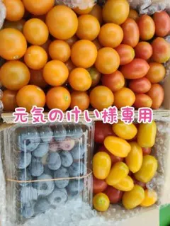 元気のけい様専用トマトブルーベリーのサムネイル