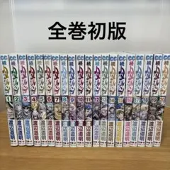 ハーメルンのバイオリン弾きなどの全巻セット Amazon.co.jp: ハーメルンのバイオリン弾き 全37巻完結(ヤング