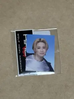 WOLF HOWL HARMONY HIROTO 証明写真 カプセル