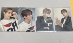 SEVENTEEN ドギョム 舞い落ちる花びら トレカセット