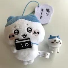 ちいかわ　ハチワレ