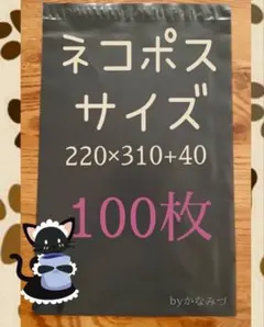 宅配袋 ネコポスサイズ 100枚