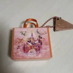 ディズニー 40周年 キーホルダーのサムネイル