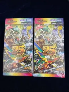 相手を翻弄せよ！光闇メカ&シノビデッキ 聖カオスマントラ ますつよBox