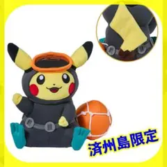 ピカチュウ ぬいぐるみ 韓国 ポケモンストア チェジュ ポップアップストア 限定 ピカチュウ ぬいぐるみ 韓国 ポケモンストア チェジュ