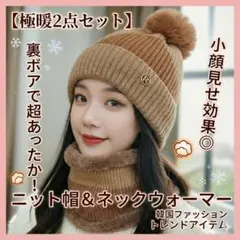 ニット帽 ネックウォーマー 2点セット ブラウン 極暖 韓国 裏ボア 防寒