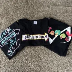 Mr.Children ツアーTシャツ11枚（バラ売り可、サイズばらばら） Mr.Children ツアーTシャツ11枚（バラ売り可、サイズばらばら） - メルカリ