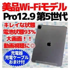 美品 Wi-Fi iPad Pro12.9 第5世代 本体 256GB グレイ