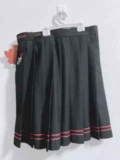 タグ付き未着用⭐︎ディズニー　ミニー　ミニスカート