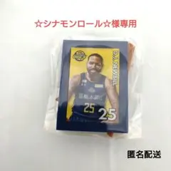 宇都宮ブレックス　2025-26選手ミニチュアアートイーゼルD.Jニュービル選手