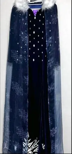 2025年最新】アナ ドレスセット ＝アナと雪の女王 家族の思い出＝の