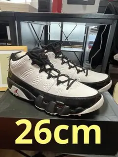 ナイキ エアジョーダン9 ゴルフ 