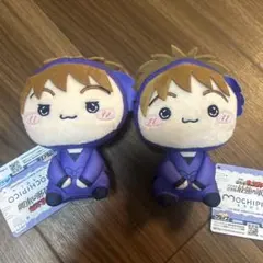 【即発送】忍たま乱太郎 もちぴこぬいぐるみ 鉢屋三郎 不破雷蔵