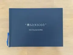 NICO Touches the Walls レア インディーズCD - メルカリ