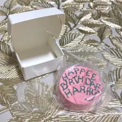 ハリーポッター ミニチュアコレクション3 バースデーケーキ