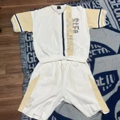 Item thumbnail for item 77b2445b-4451-431c-9be7-5f43420a1421