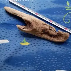 Item thumbnail for item 3f28ca96-b92b-48af-a716-8b1434655c99