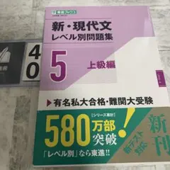 新・現代文レベル別問題集⑤ 上級編