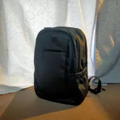 Item thumbnail for item 930d9abd-5e2e-46ed-9e4b-bfdc74e3da5e